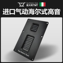 TMT Import HiFi Firing Grade Double Pneumatic Style Home Ultra High Tone Horn Honeycomb diaphragm Speaker
