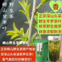 Zhengzong Qingdao Laoshan Mountain Wild Tea 2022 Ming Former Head Artisanal Small Bud of Rogan Date Daoist Nourishing Tea 500g