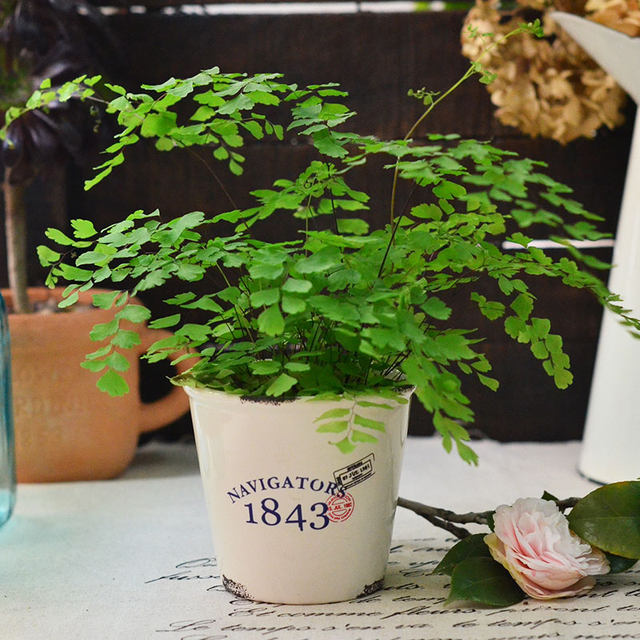 BAOZAKKA export old home gardening succulent retro flower pot Korean stoneware light porcelain flower pot BAOZAKKA export old home gardening succulent retro flower pot Korean stoneware light porcelain flower pot