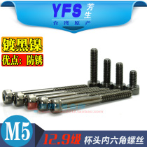 YFS imported 12 grade 9 cylindrical cup head hexagon screw M5*10*14*16*20*25*30*40 Black nickel plated