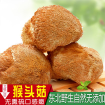 Daxinganling new wild non-smoked sulfur 500g a catty authentic Northeast monkey head mushroom dry goods specialty stomach nourishment