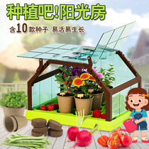Children planting the Yangguang Room Plant Box cultured students Observation Force Science Experiment Suit Toys