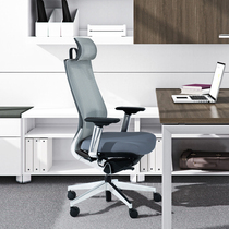 Office chair comfortable and sedentary ergonomic computer chair home backrest waist chair lift simple modern chair