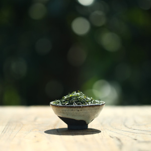 【拍下9元】诚绿纯手工信阳毛尖自产自销春茶2016新茶雨前特级浓香毛峰绿茶叶