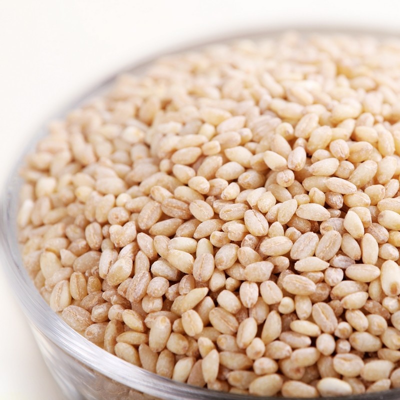 巨龙有机小麦仁真空装400克 东北五谷杂粮小麦仁 粗粮麦仁米
