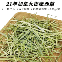 21 years of Canadian Timothy grass plus two pressure rabbit Dutch pig ChinChin feed forage 500g