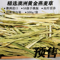 Pre-Sale new grass special Australian gold oat grass rabbit guinea pig ChinChin Hay hay green Australian wheat 500g
