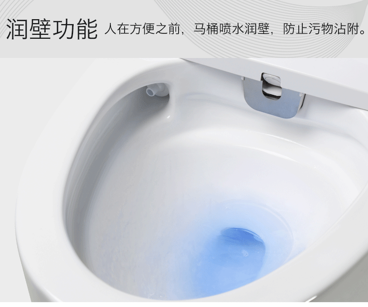 德国进口德朗斯汀一体式全自动坐便器冲水烘干座便器电动智能马桶