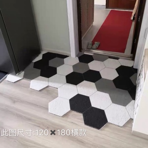 进门丝圈脚垫入户门地毯进门地垫门厅客厅垫子防滑丝圈地垫家用