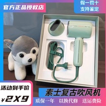 Vegetarian Negative Hair Hair Dryer Hair Film Scalp Massage Dorm Room Students Mute Valentines Day 7 New Years Eve