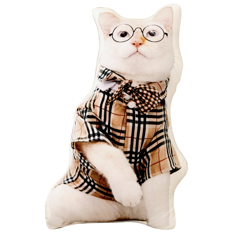 DIY Ugly Cat without white edge pillow humanoid custom print photo alien doll pet cat, dog, toy simulation gift DIY Ugly Cat without white edge pillow humanoid custom print photo alien doll pet cat, dog, toy simulation gift