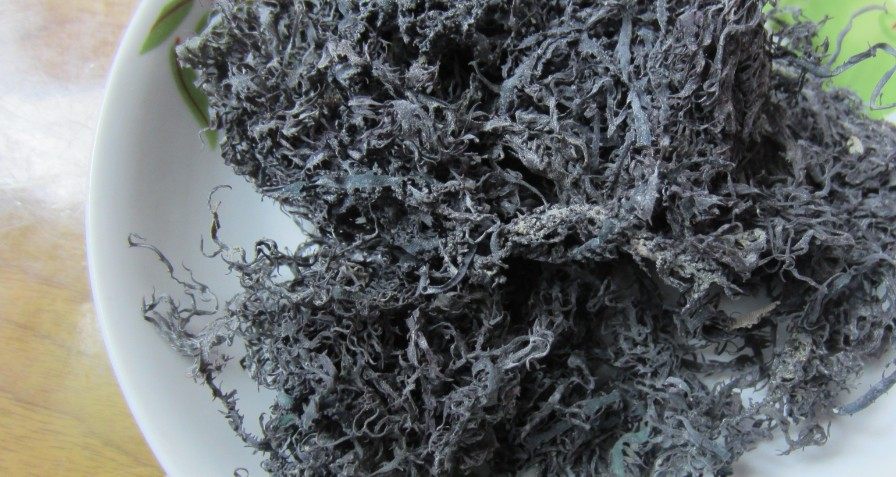 健康素菜凉拌菜南极冰藻60g 食用海草海藻海产品藻类凉菜福建特产