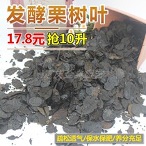 Yunnan fermented chestnut leaf orchid cultivation substrate plant ear leaf leaf rot soil orchid planting material nutrient soil