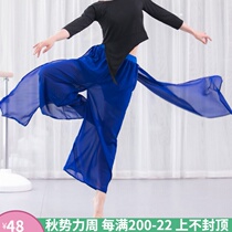 Chinese style classical modern dance practice pants Chiffon elegant yarn culottes stage performance clothing female streamers