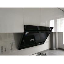 Customized pet acrylic marble slab highlight cabinet door wardrobe cabinet swing door light luxury love G LG oosong door panel