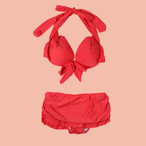 Split Swimsuit Women Small Breasts Gather Steel Tohan Version Sexy Dew Back Skirt Style Seaside Resort Bikini Spa Conservative