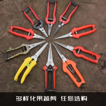 Dilute fruit scissors Fruit picking scissors Gardening pruning scissors Pepper vegetable scissors Grape orange scissors Garden tools
