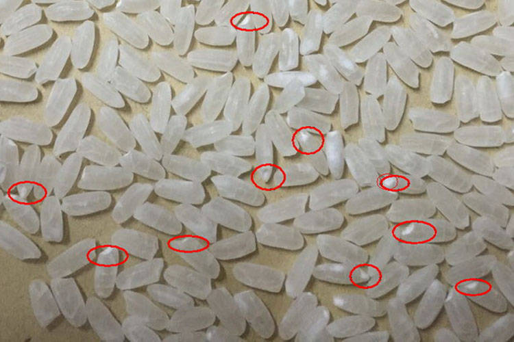 大米的胚芽特别明显,足足的营养全在里面哦