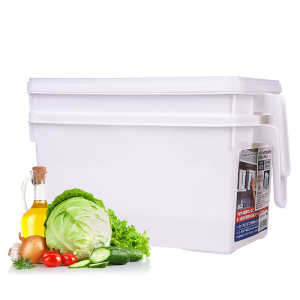 日本进口冰箱收纳盒保鲜盒蔬菜饺子食品水果密封储物塑料盒整理盒