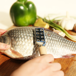 日本echo鱼鳞刮刮鱼鳞器不锈钢去鱼鳞刨杀鱼刮鳞器创意厨房小工具