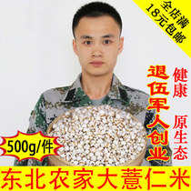 2020 new barley rice High-quality large-grain barley rice coix seed farm-produced barley rice full of 500g
