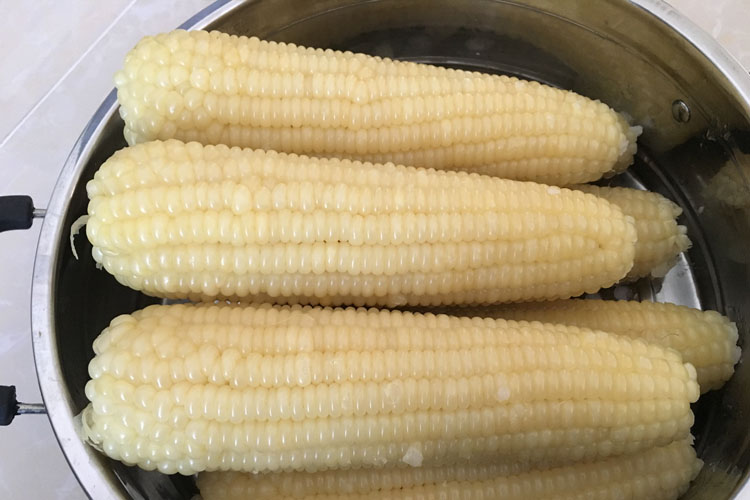 东北特产粘玉米甜糯玉米棒农家黏苞米白糯冷冻有机苞米棒10根包邮_双