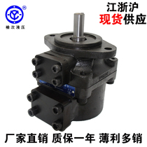 PFE-21005 PFE-21006 PFE-21008-1DT oil for Tai Yuci hydraulic column pin vane pump