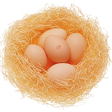 正大鸡蛋初产新鲜鸡蛋1.08kg25枚[20元优惠券]-寻折猪