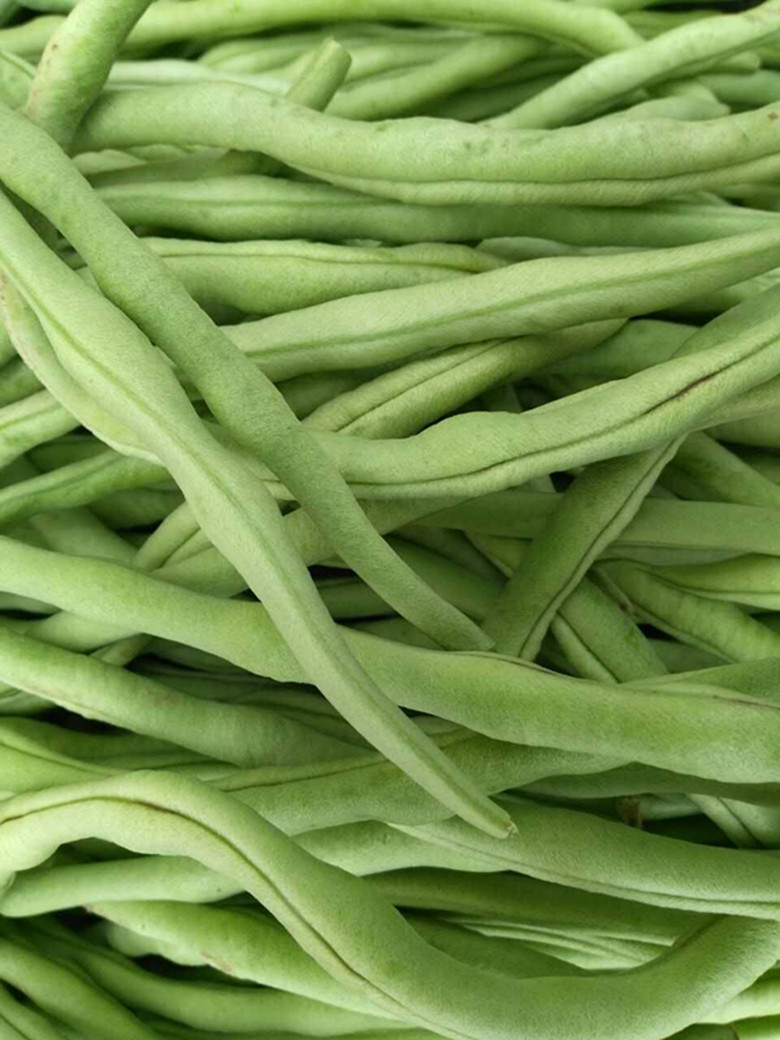 现货东北特产油豆角新鲜蔬菜正宗油豆角芸豆开锅烂现卖现摘500克