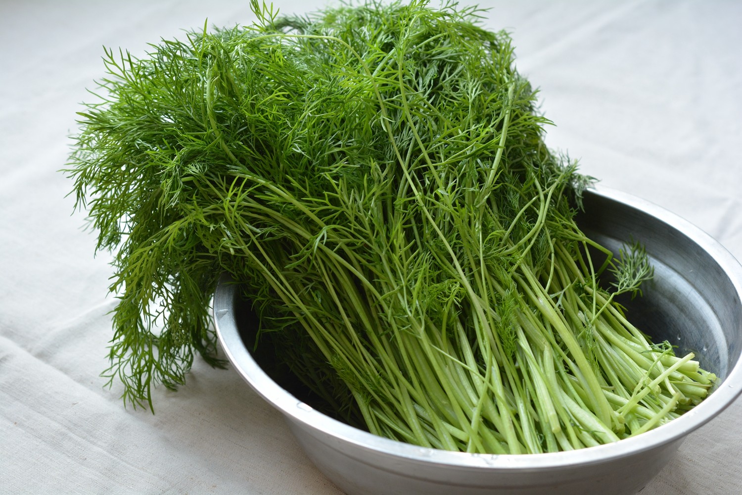 茴香择洗干净,控干水