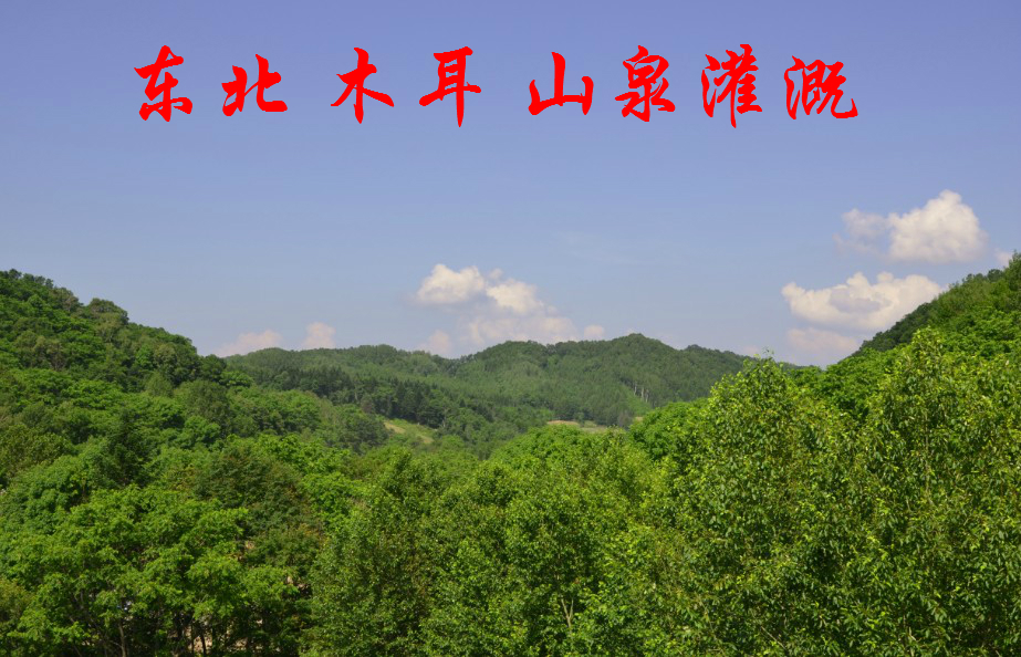 通知:2017年新的黑木耳,青蟹v青蟹!现货能放冰箱里吗6图片