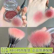 Blush dot color brushed fit beveled with a small number of makeup brushes with makeup brushes on makeup and clear oversaturated new hands with blush brush