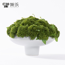 Simple Joker simulation green plant potted ornaments green plant flower crafts small decorations