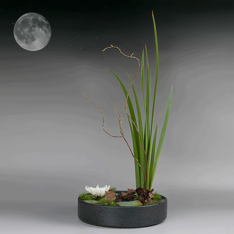 包邮陶瓷花器小原流池坊花道 中华花艺水盘文人插花黑色日式简约