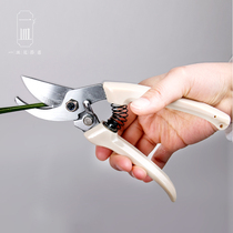 A dish of Alice Japanese flower scissors ARS130DX flower arrangement floral scissors rough scissors teaching tools