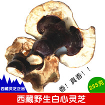 Tibet wild White Red Zhi Pure natural Tibetan fragrant Ganoderma lucidum super pruned red zhi spore powder Remote Fashunfeng