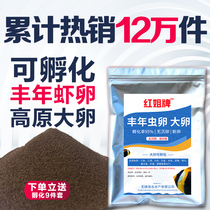 Red sister brand big red eggs Harvest shrimp eggs can hatch new eggs Ornamental fish Colorful guppy food fry open feed