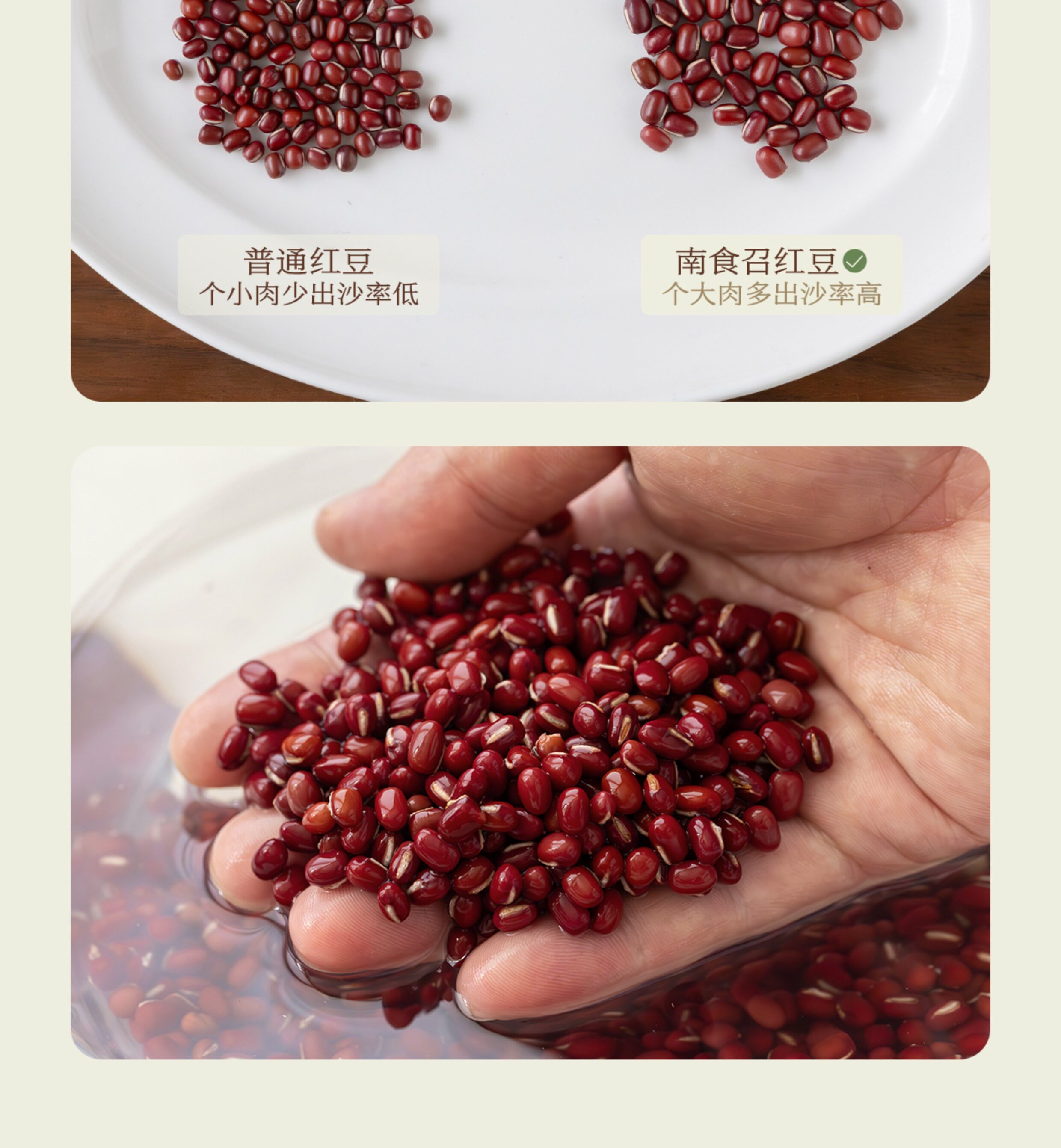 南食召 本色红豆 黑土种植·风味更足 皮薄易煮大颗粒红小豆