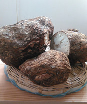 Two pieces of wild poria with skin poria 1000 grams naturally dried by farmers in Qinggao Mountain Yunnan