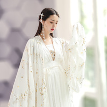 Hanfu female Fairy Spring and Autumn elegant Chinese style antique waist skirt super fairy student suit summer costume