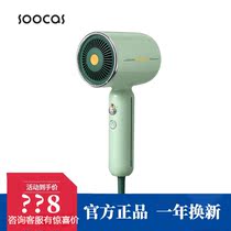 Vegetarian retro hair dryer negative ion hair care home electric blow cylinder High power scalp massage speed dry small skyscraper