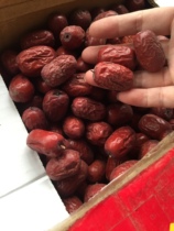 The new jujube has an even head and is sweet and waxy and the quality is very good