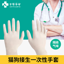 Disposable PVC delivery gloves Inspection gloves hygienic transparent food grade fingerprint touch screen work protection isolation