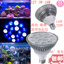 E27 Red Blue Purple Yellow Green mixed color seaweed sea fish coral LED light fish tank light purple light support customized 220V