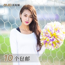 Middle Number cheerleader Fancy Ball Cheerleader Flowers Ball Cheerleading Team Handflowers Bodybuilding Dance Sports Flower Ball Refueling