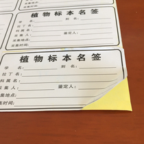9 5X5 5 adhesive plant specimen label table paper name sign collection signing plant identification sign identification sign