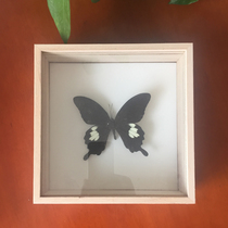Solid Wood Long Dent Large Pocket Special Add High Insect Specimen Case Unicorn Butterfly Specimen Exhibition Placard 20X20X7cm