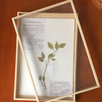 44x32x3cm solid wood plant specimen case acrylic surface transparent display case large specimen frame acquisition tool