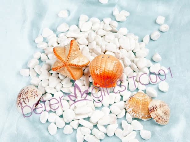 Seashell & Starfish Salt and Pepper Shakers