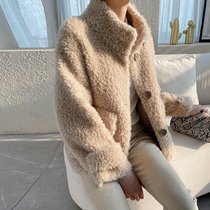 Lamb fur straw jacket female short piece of winter new small sub-stand young style sheep cut velvet big coat leather hair